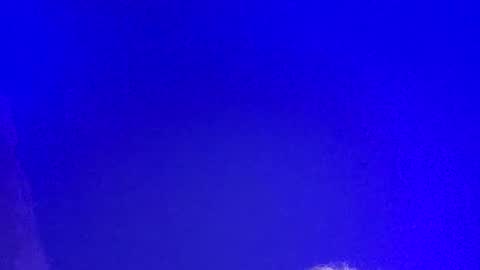 LickYourYoni online show from 03-03-25, 02:48