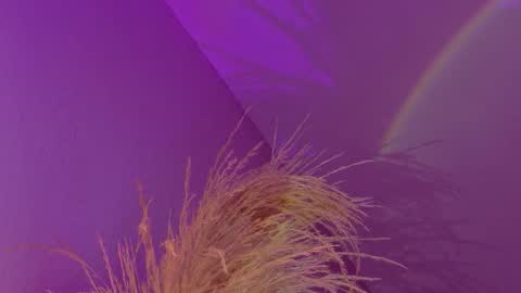 Liiam Luna online show from 01-17-26, 09:14