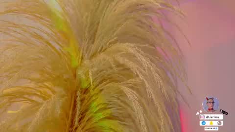 Liiam Luna online show from 06-30-26, 11:00
