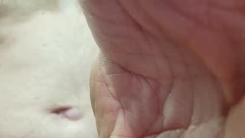 like_fun_ online show from 04-08-26, 05:51