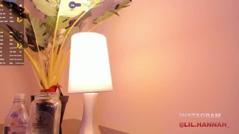Snapshot of lil_hanna18 chatting on 12-10-24, 02:50 Hanna online show from 12-10-24, 02:50