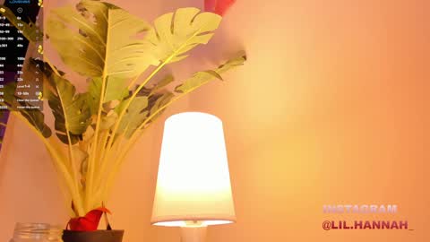 Snapshot of lil_hanna18 chatting on 12-23-24, 03:01 Hanna online show from 12-23-24, 03:01