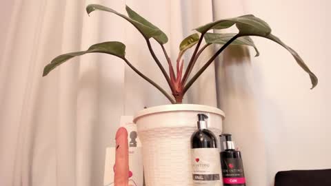 Snapshot of lila_elliot chatting on 01-15-25, 10:46 Lila online show from 01-15-25, 10:46