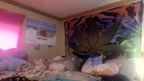 BunBun online show from 06-19-26, 05:50