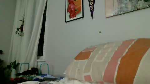 lildeer1980 online show from 12-25-24, 09:02