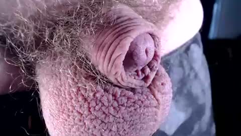 lildickbigbelly online show from 07-06-26, 07:16