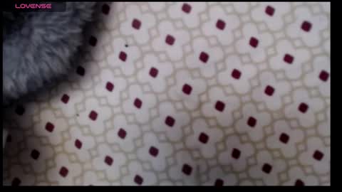 Snapshot of lildragon069 chatting on 12-07-24, 09:28 lildragon069 online show from 12-07-24, 09:28