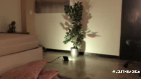 lilith_sage_ online show from 11-13-25, 11:53