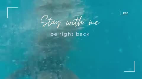 Lily online show from 09-22-25, 05:42