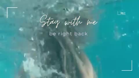 Lily online show from 09-30-25, 07:02