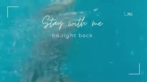 Lily online show from 11-10-25, 06:45