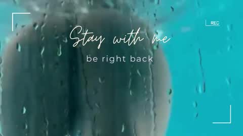 Snapshot of lily_foster_ chatting on 12-21-25, 06:31 Lily online show from 12-21-25, 06:31