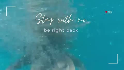 Snapshot of lily_foster_ chatting on 02-04-26, 06:08 Lily online show from 02-04-26, 06:08