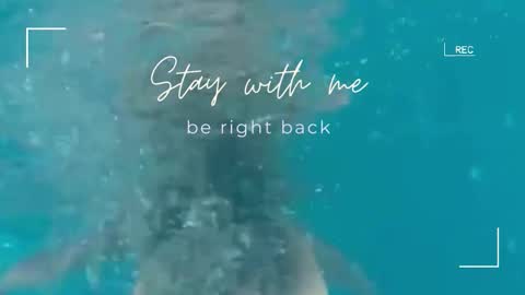 Snapshot of lily_foster_ chatting on 02-18-26, 06:42 Lily online show from 02-18-26, 06:42