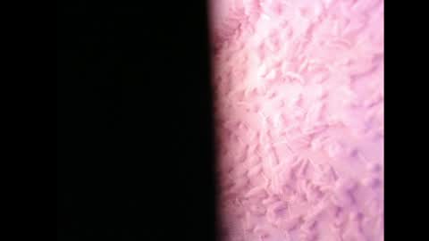 lilycelest online show from 05-13-26, 06:44