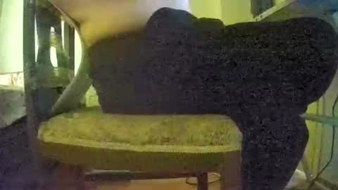 lilylovelyman50 online show from 06-22-26, 12:02