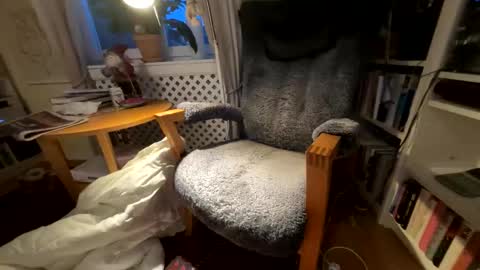 Snapshot of lingonkuk chatting on 11-25-25, 06:35 lingonkuk online show from 11-25-25, 06:35
