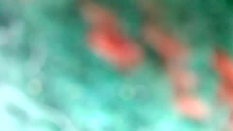 Snapshot of lionelearthquake chatting on 03-11-25, 04:18 lionelearthquake online show from 03-11-25, 04:18