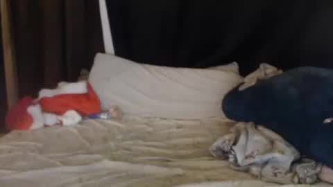 Lisa Tyler online show from 12-27-24, 07:40