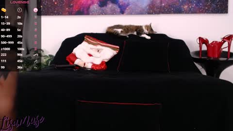 Snapshot of lisamusee chatting on 12-24-24, 07:11 Lisamuse online show from 12-24-24, 07:11