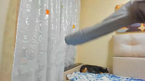 Lisasimsxs online show from 08-01-26, 03:50