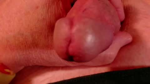 Littlebits online show from 02-23-26, 04:43