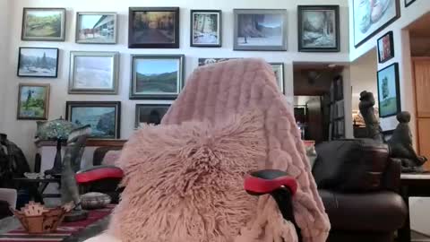 Miss D   Shows Mon Wed  Fri online show from 05-18-26, 06:36