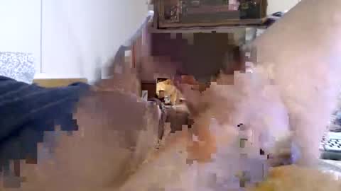 lixxxalot online show from 06-04-26, 05:52