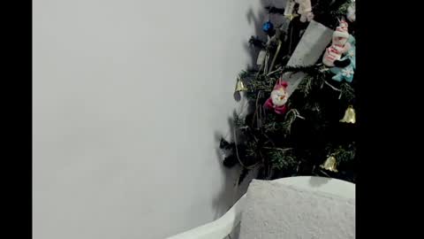 lizz1305 online show from 12-26-24, 03:20