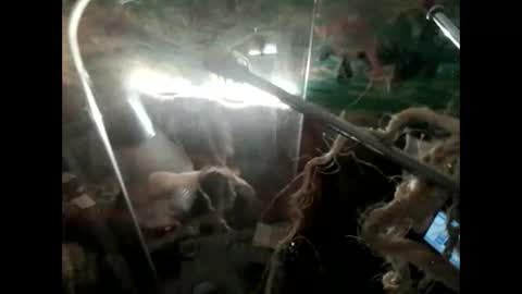 Snapshot of lkonig504475 chatting on 05-27-26, 08:39 lkonig504475 online show from 05-27-26, 08:39