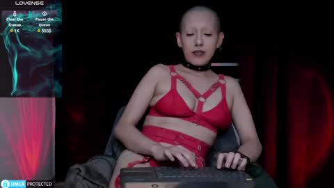 Lynx Mist online show from 12-14-24, 03:18