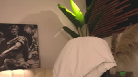 Snapshot of logan_varela chatting on 02-05-25, 04:16 logan_varela online show from 02-05-25, 04:16