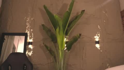 Snapshot of logan_varela chatting on 03-01-25, 09:18 logan_varela online show from 03-01-25, 09:18