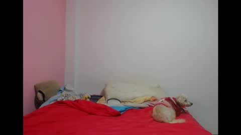 Lolita  online show from 05-19-26, 08:04