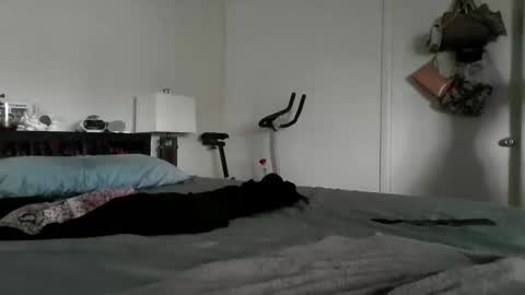 LondonMariexxx online show from 11-16-25, 08:47