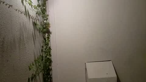 Snapshot of longdick3587 chatting on 02-17-25, 05:14 longdick3587 online show from 02-17-25, 05:14