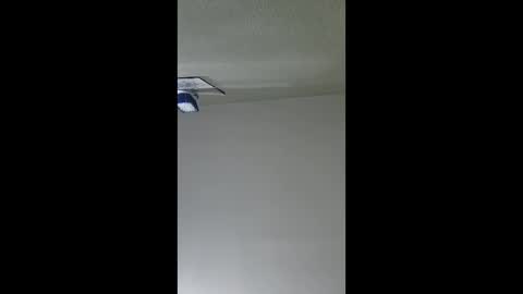 2791 3D online show from 12-17-25, 05:35