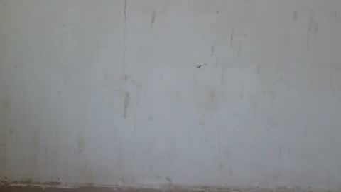 Loraa online show from 06-28-26, 12:49