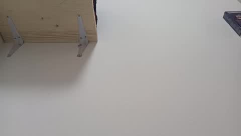 Lora online show from 01-10-25, 01:41