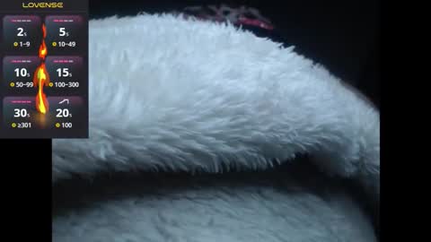 Snapshot of lorenitha_20 chatting on 10-27-25, 02:59 lorenitha online show from 10-27-25, 02:59