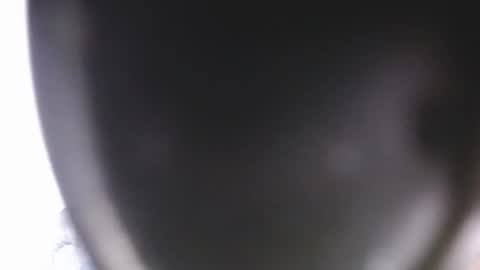 lorexxw online show from 07-09-26, 12:15