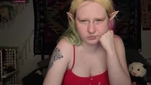 Lori Critter online show from 05-16-26, 12:40