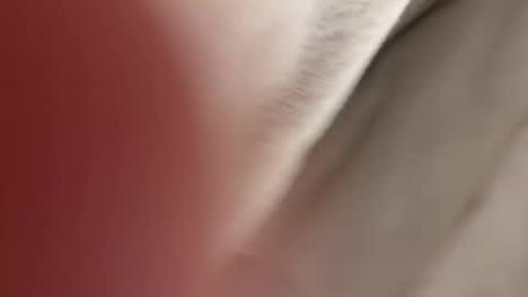 lost_surprise online show from 04-14-26, 03:56