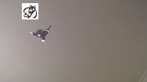 nefisa nef online show from 03-02-25, 12:31