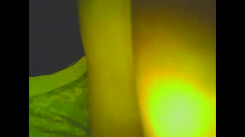 PleasureX online show from 03-06-25, 08:30