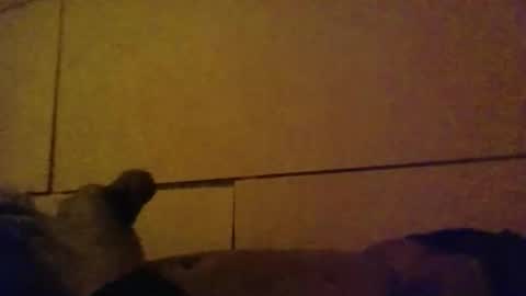 lovebignip online show from 02-16-26, 05:14
