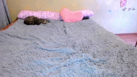 cat-girl online show from 01-01-25, 05:22