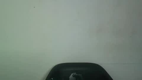 Snapshot of lovecumsluttie chatting on 05-19-26, 10:43 mila online show from 05-19-26, 10:43