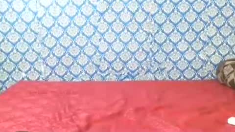 Snapshot of lovefunnitya chatting on 07-22-26, 12:35 Divya online show from 07-22-26, 12:35