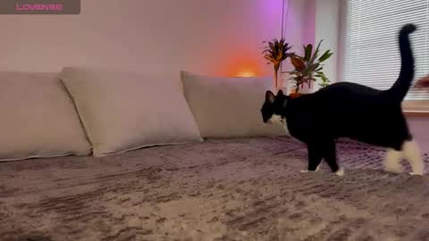 Elsa online show from 10-23-25, 06:34